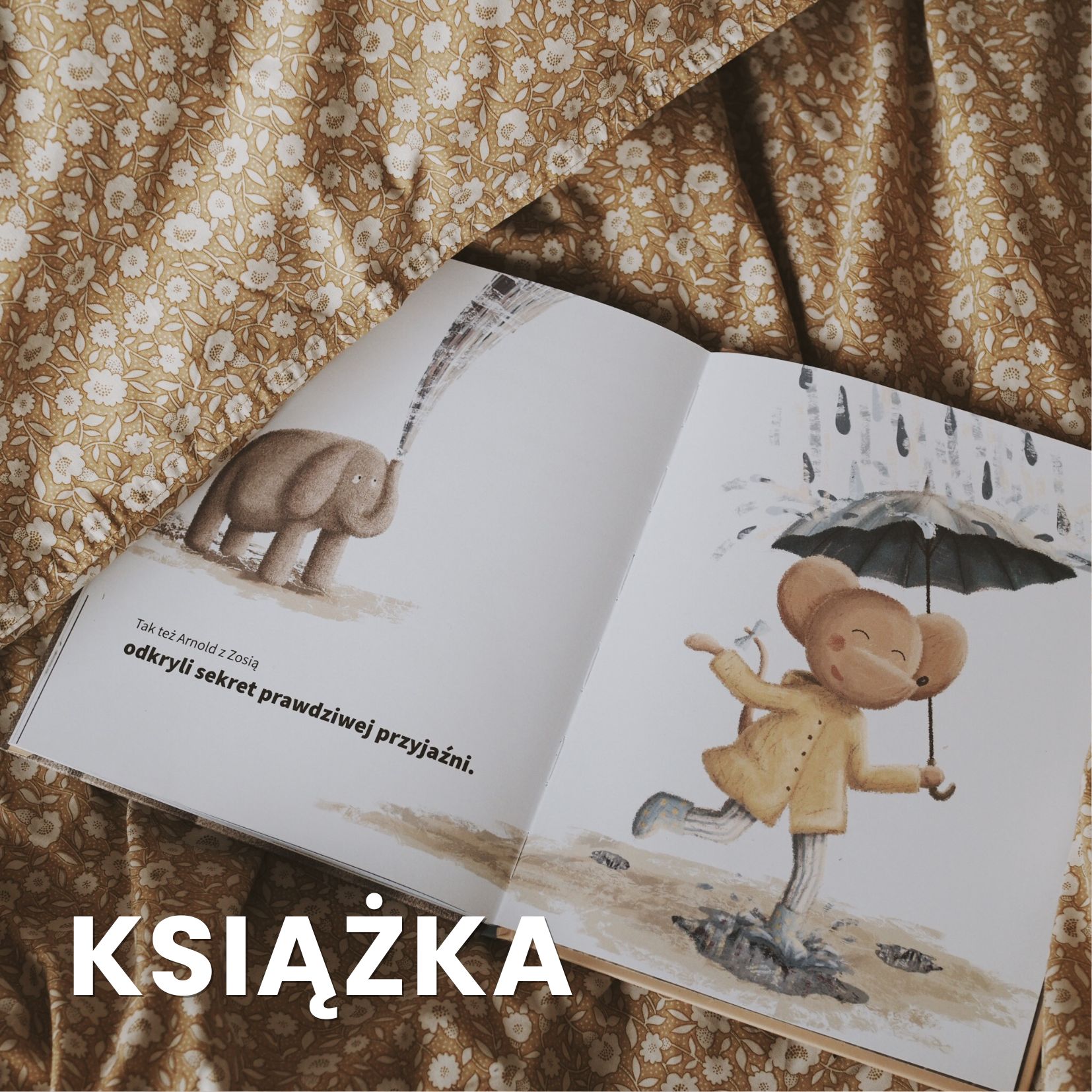 Książka